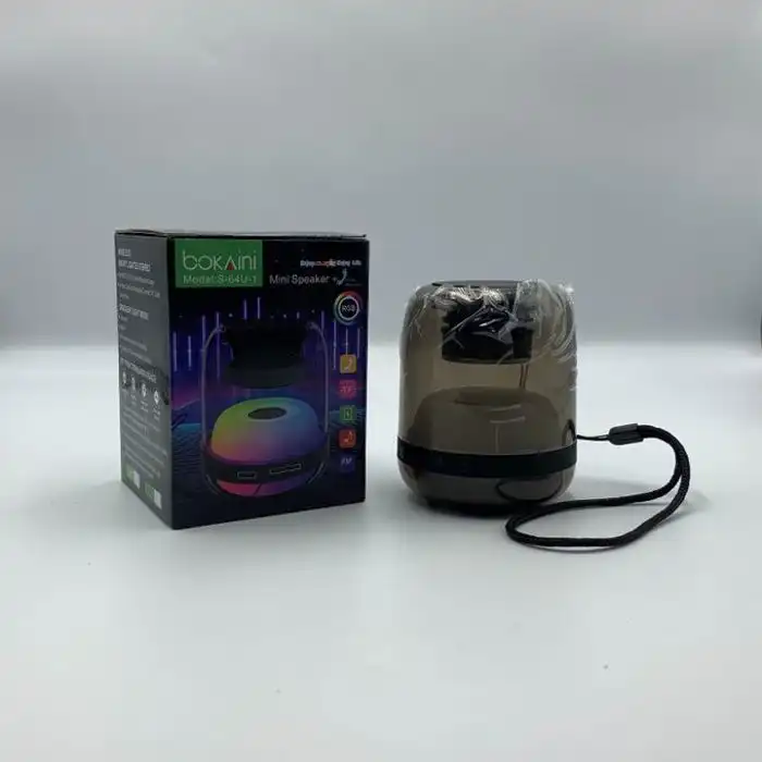 Bokaini Haut-parleurs Bluetooth portable avec son HD, éclairage RGB, Mini Speaker