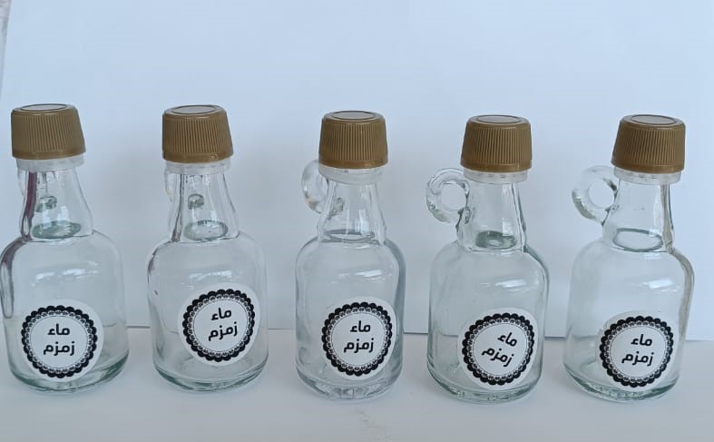 Lot de 10 Bouteilles en Verre avec couvercle en plastique et poignée en boucle
