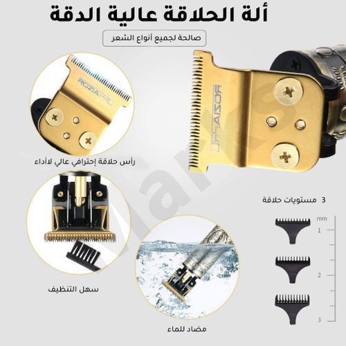 Rozia Tondeuse Cheveux Barbe Rechargeable Rasoir T-Blade