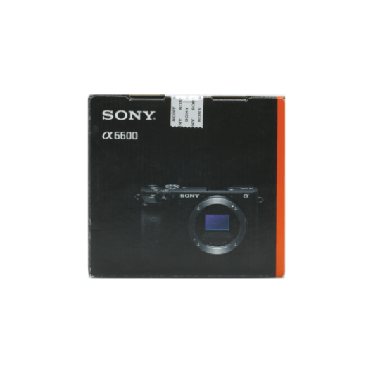 Sony Alpha 6600