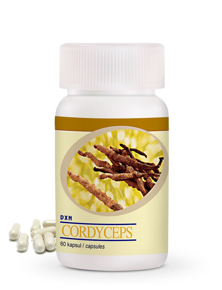 Cordysibs DXN