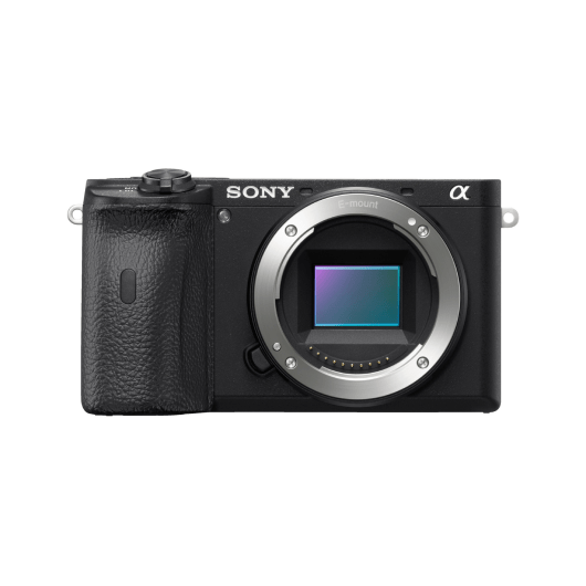 Sony Alpha 6600